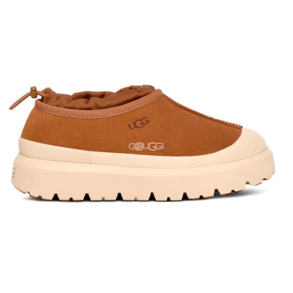 Женские слипоны Tasman Weather Hybrid - Chestnut / Whitecap